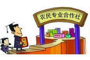 农业合作社起名字