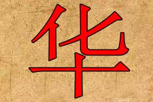 带华字的公司名字