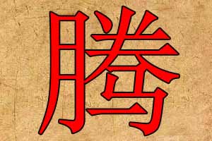 带腾字的公司名字