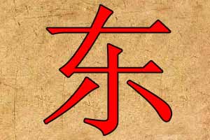 带东字的公司名字