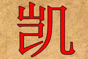 带凯字的公司名字