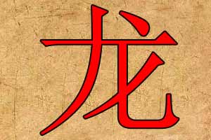 带龙字的公司名字