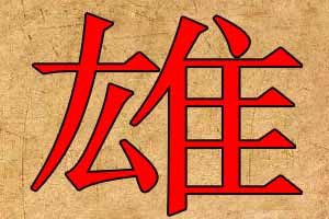 带雄字的公司名字