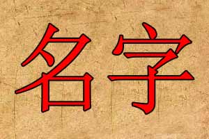 公司名字测试